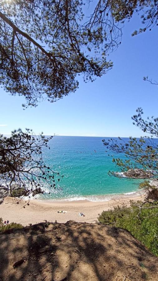 Daro Apartments Platja d'Aro Eksteriør bilde