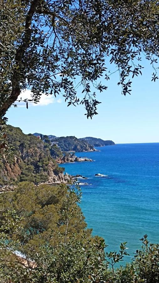 Daro Apartments Platja d'Aro Eksteriør bilde
